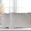 FUTAINE - Housse de couette coton bio