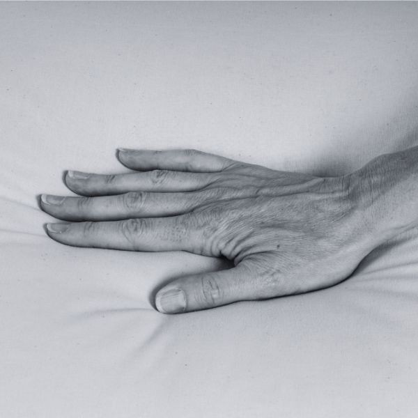 Oreillers 65x65 en coton bio