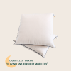 Oreillers 50x70 en coton bio
