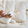 couette-coton-bio-240x220-futaine