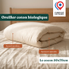Oreiller Cocon coton bio | Le plus moelleux de la gamme - Futaine